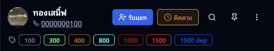 ส่วนหัวของห้องแชท — ชื่อผู้เล่น ปุ่มรับแชท สถานะ แท็ก และเครื่องมือ