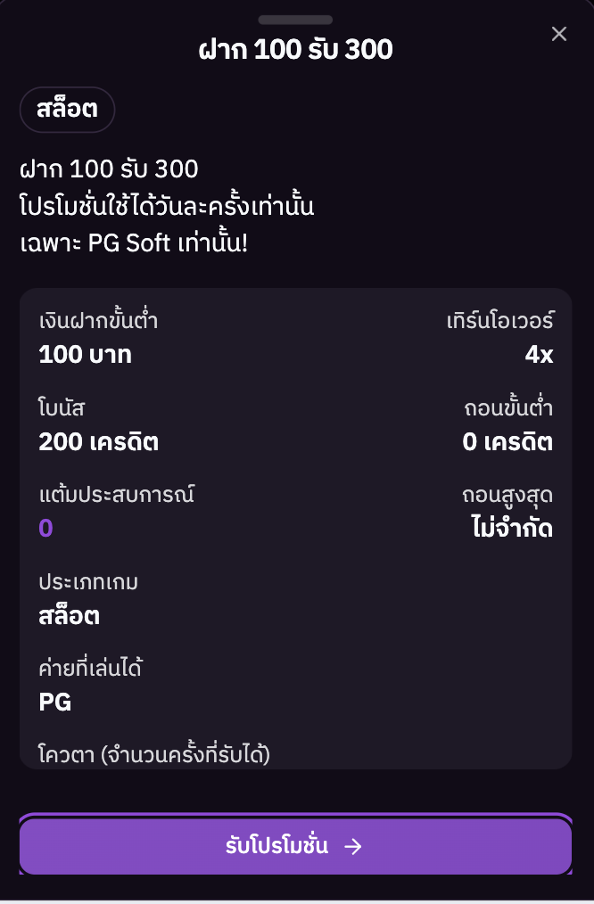 หน้าต่างรายละเอียดโปรโมชั่น