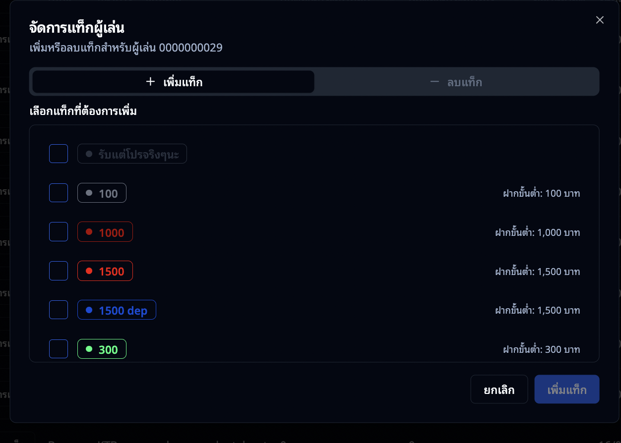 หน้าจัดการแท็กผู้เล่น